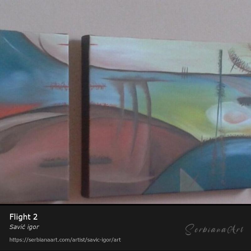 Flight 2, Oil/Canvas, Savić igor