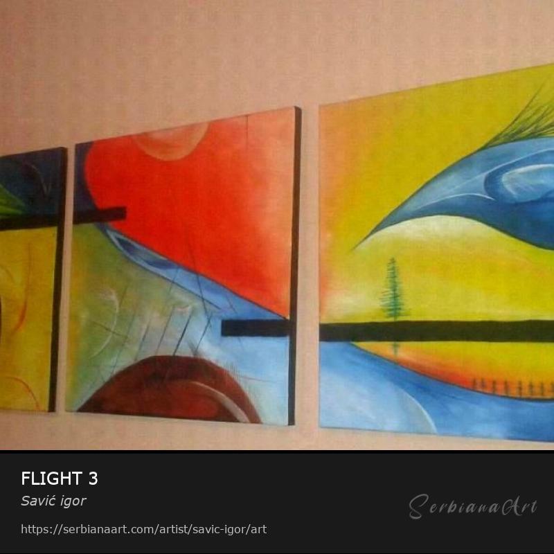 FLIGHT 3, Oil/Canvas, Savić igor