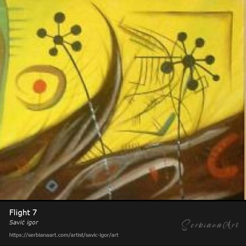 Flight 7, Oil/Canvas, Savić igor