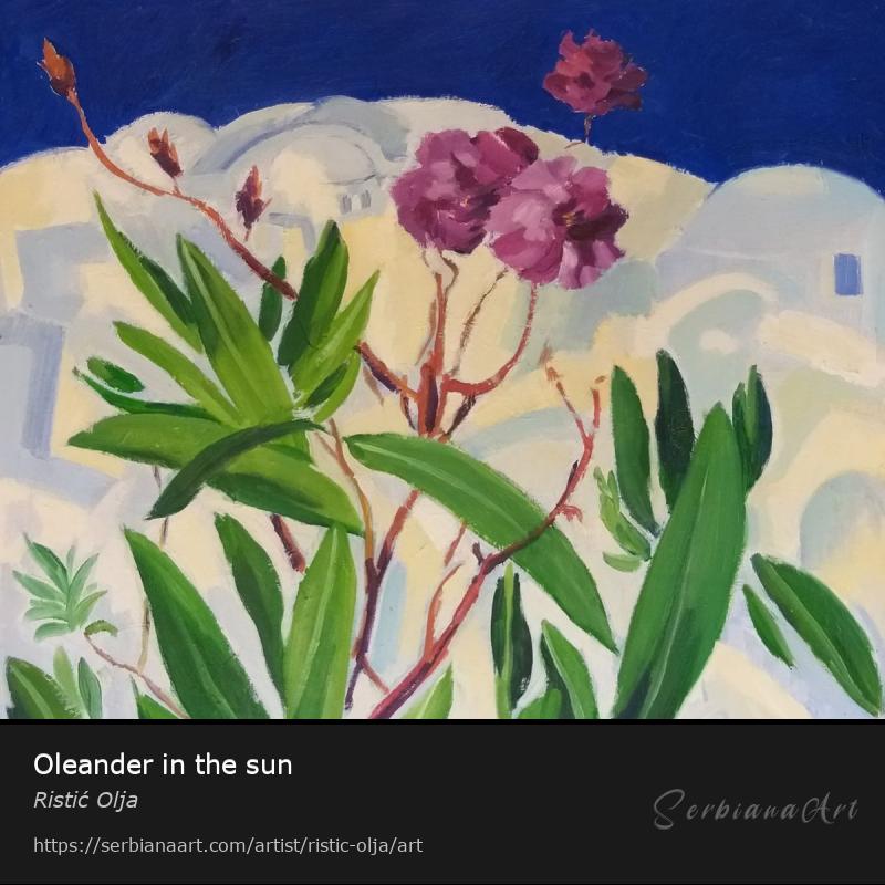 Oleander in the sun, Oil/Canvas, Ristić Olja