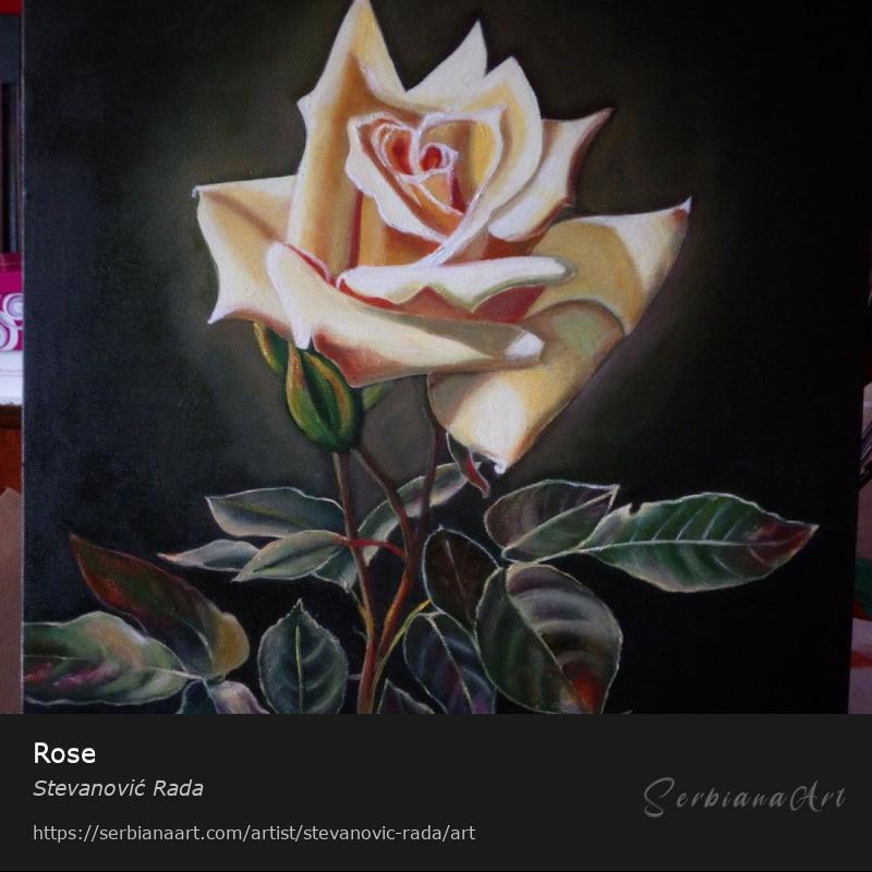 Rose, Creative Handicraft/Canvas, Stevanović Rada
