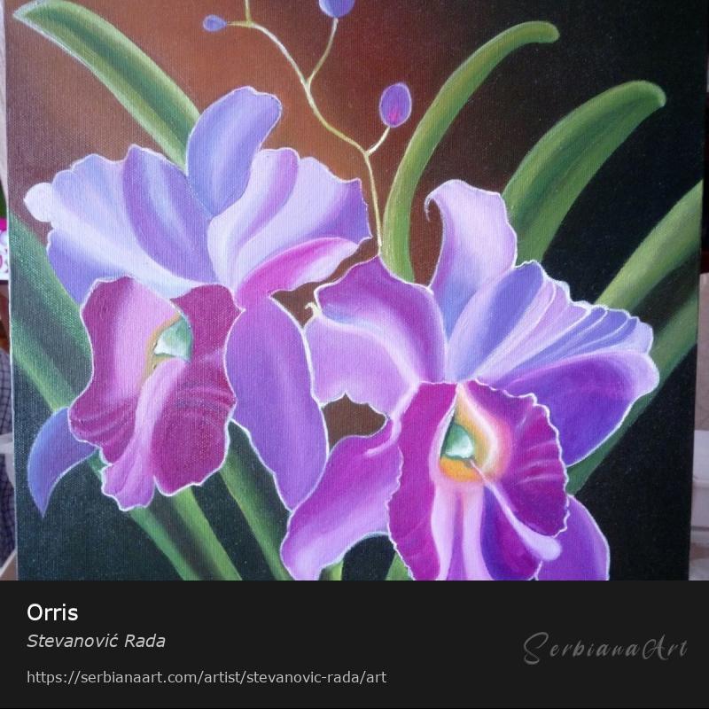 Orris, Creative Handicraft/Canvas, Stevanović Rada