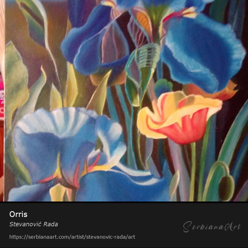 Orris, Creative Handicraft/Canvas, Stevanović Rada