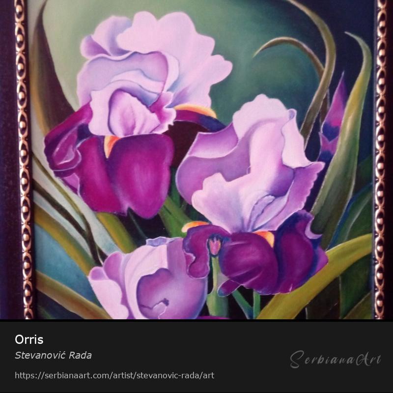 Orris, Creative Handicraft/Canvas, Stevanović Rada