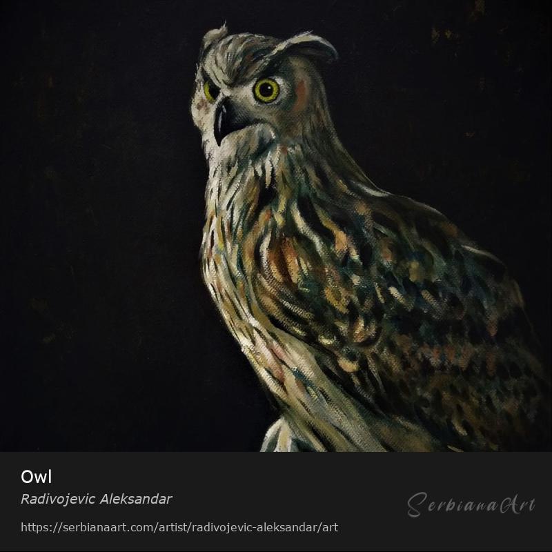 Owl, Oil/Canvas, Radivojevic Aleksandar