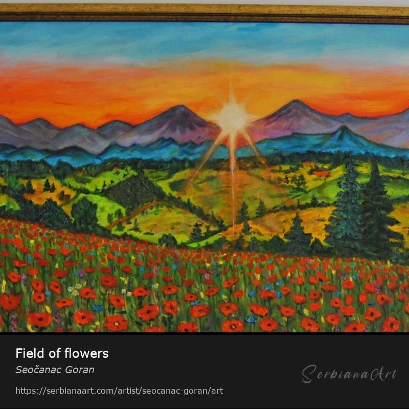 Field of flowers, Oil/Canvas, Seočanac Goran