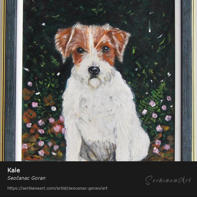 Kale, Oil/Canvas, Seočanac Goran