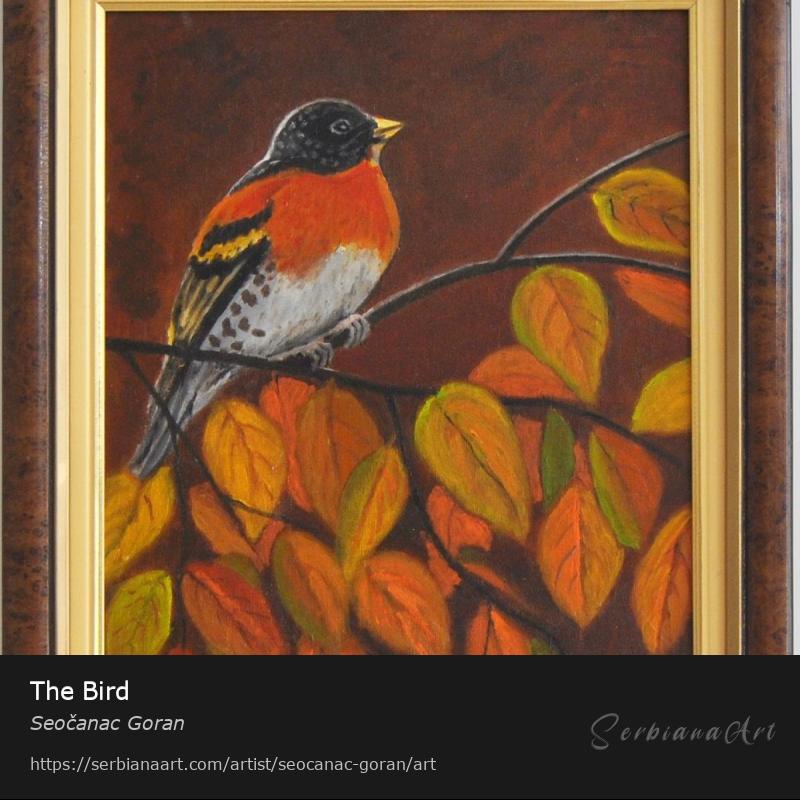 The Bird, Oil/Canvas, Seočanac Goran