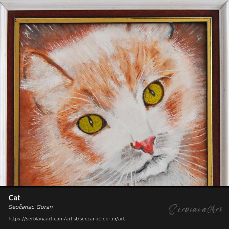 Cat, Oil/Canvas, Seočanac Goran