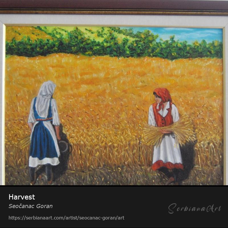 Harvest, Oil/Canvas, Seočanac Goran