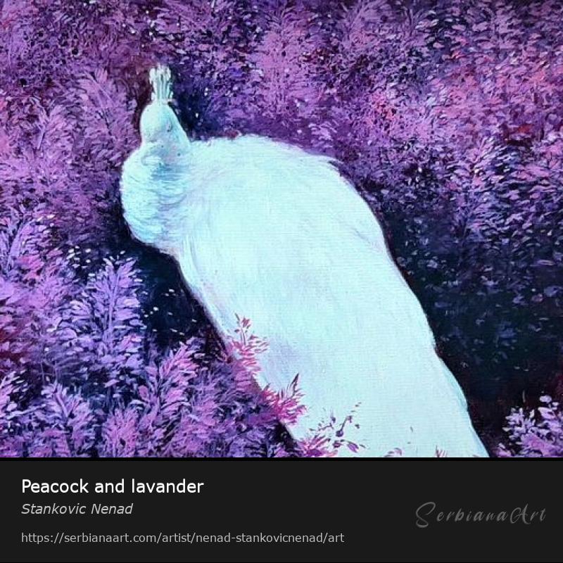 Peacock and lavander, Mixed Media/Canvas, Stankovic Nenad
