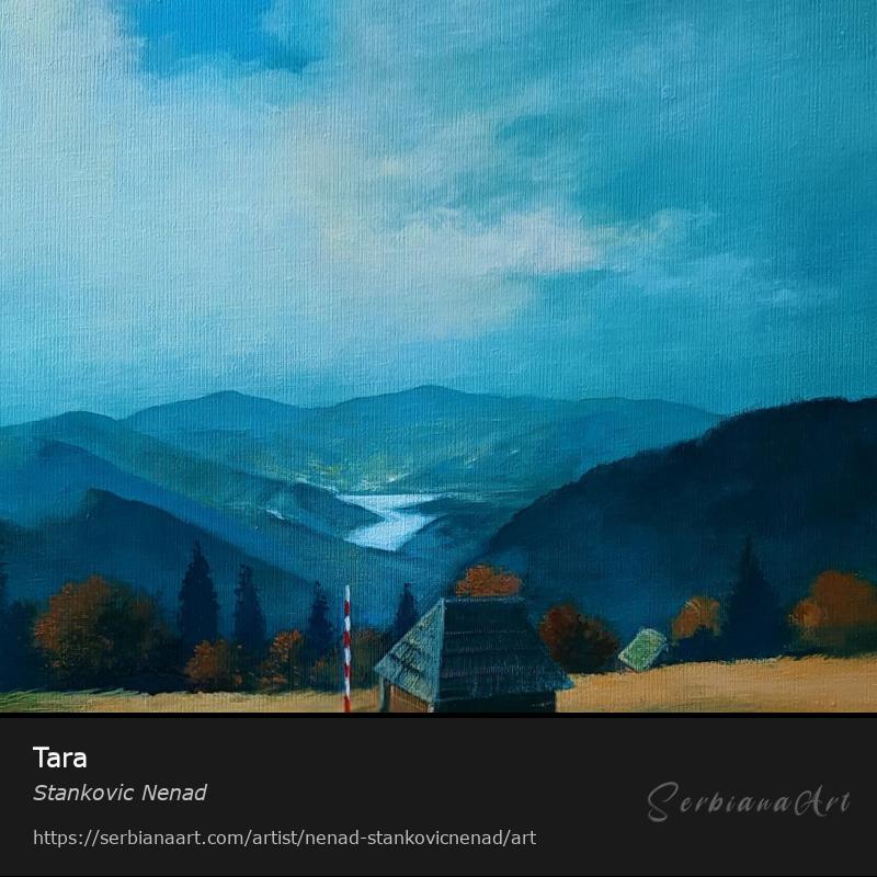 Tara, Mixed Media/Canvas, Stankovic Nenad