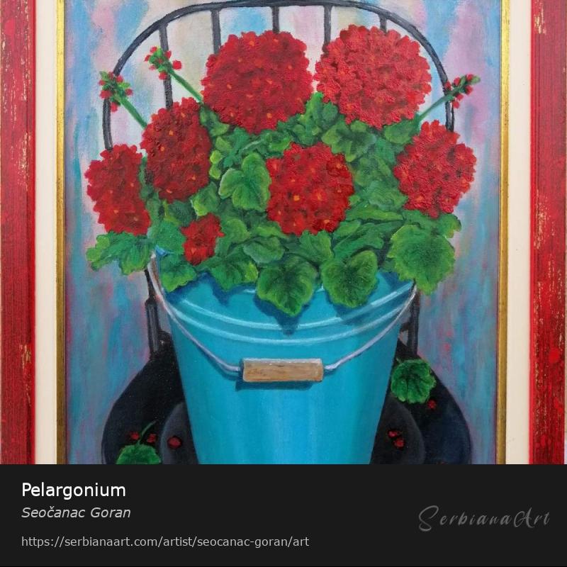 Pelargonium, Oil/Canvas, Seočanac Goran