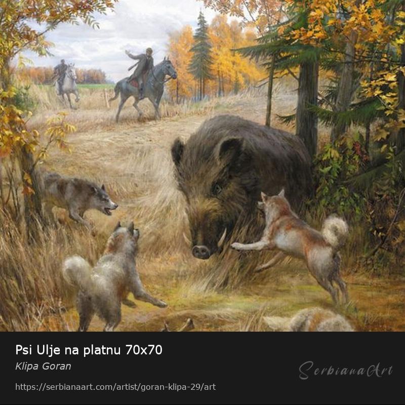 Psi Ulje na platnu 70x70, Oil/Canvas, Klipa Goran