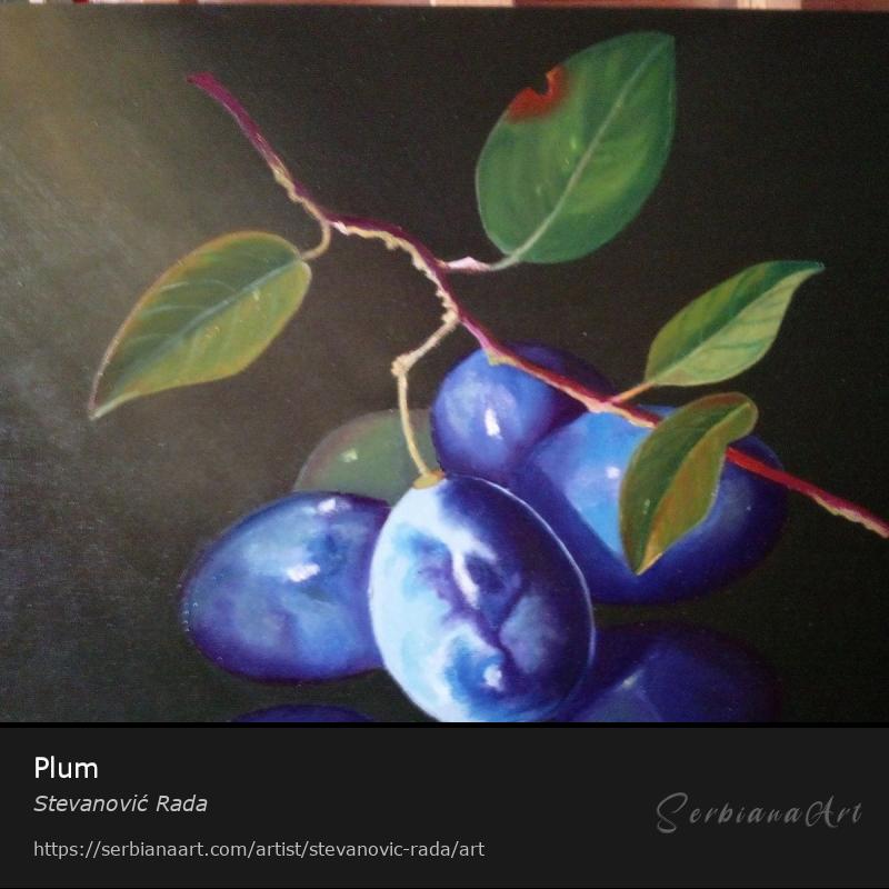 Plum, Creative Handicraft/Canvas, Stevanović Rada
