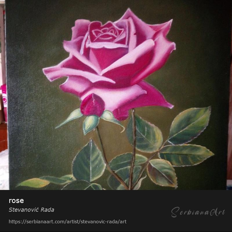 rose, Creative Handicraft/Canvas, Stevanović Rada