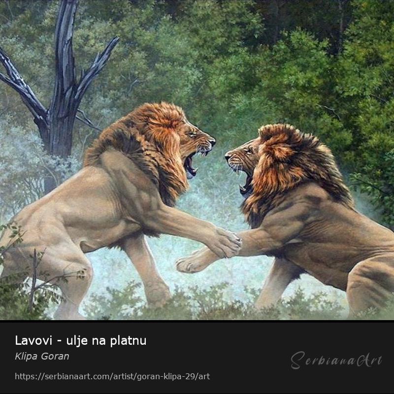 Lavovi - ulje na platnu, Oil/Canvas, Klipa Goran