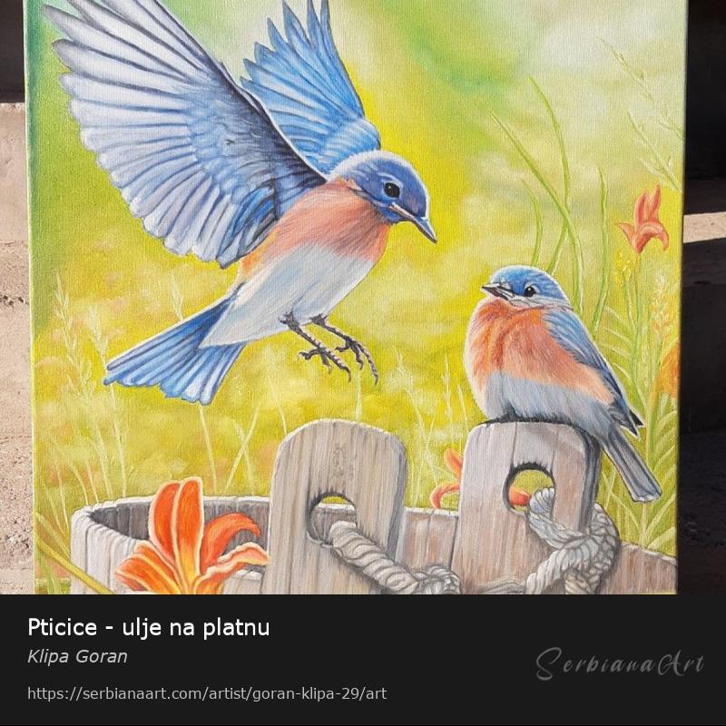 Pticice - ulje na platnu, Oil/Canvas, Klipa Goran