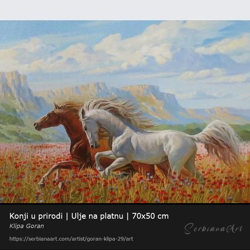 Konji u prirodi | Ulje na platnu | 70x50 cm, Oil/Canvas, Klipa Goran