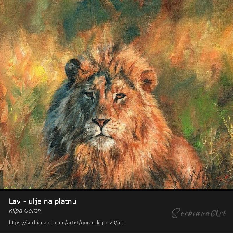 Lav - ulje na platnu, Oil/Canvas, Klipa Goran