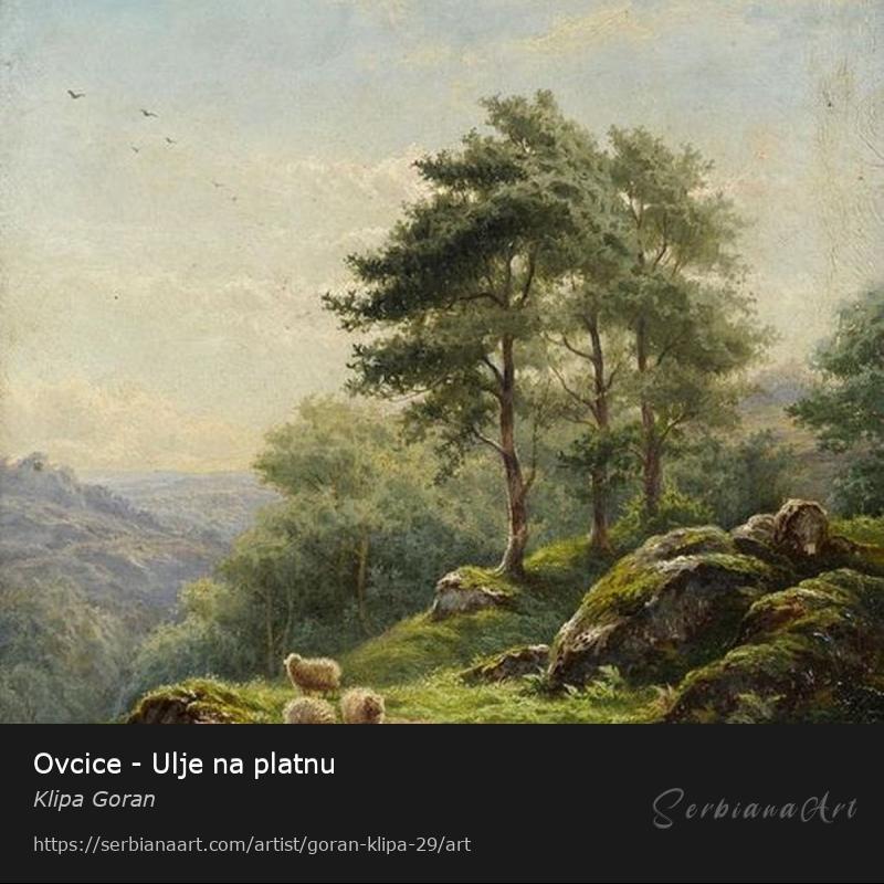 Ovcice - Ulje na platnu, Oil/Canvas, Klipa Goran