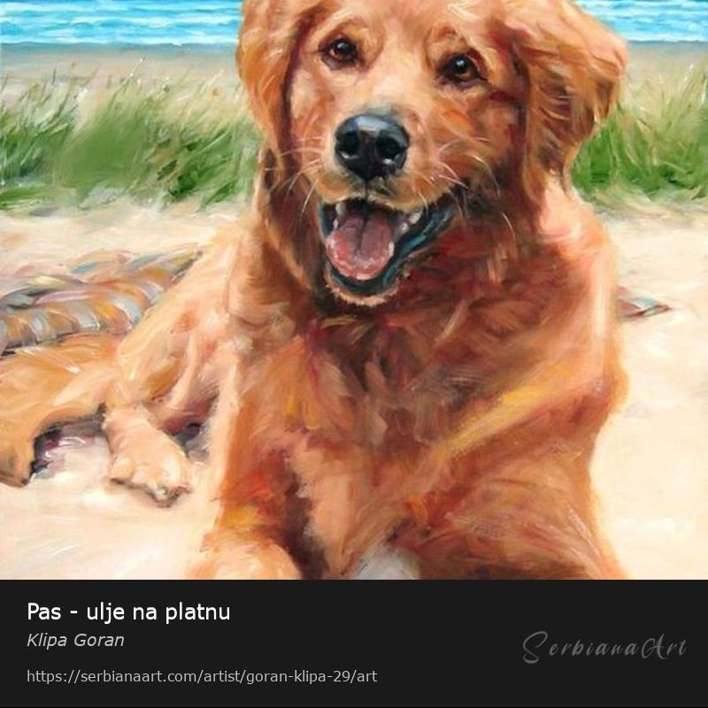 Pas - ulje na platnu, Oil/Canvas, Klipa Goran