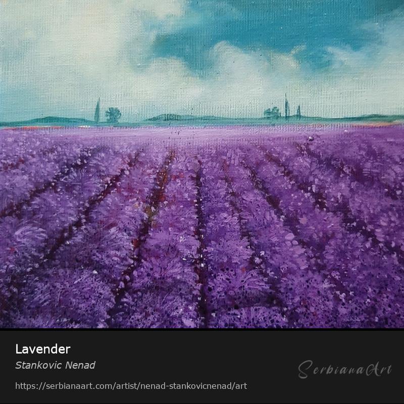 Lavender, Oil/Canvas, Stankovic Nenad