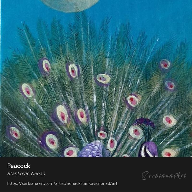 Peacock, Oil/Canvas, Stankovic Nenad