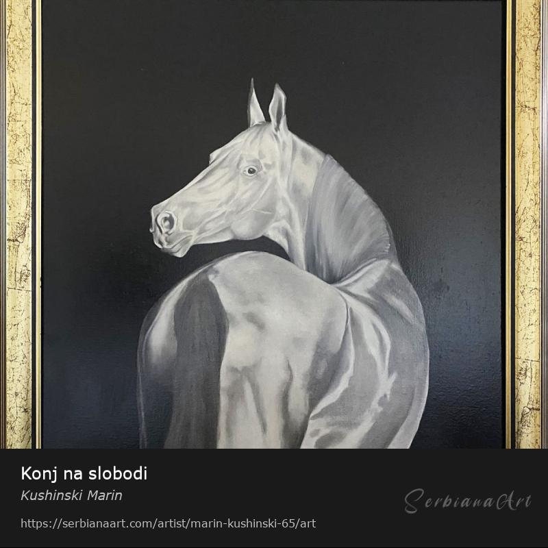 Konj na slobodi, Oil/Canvas, Kushinski Marin