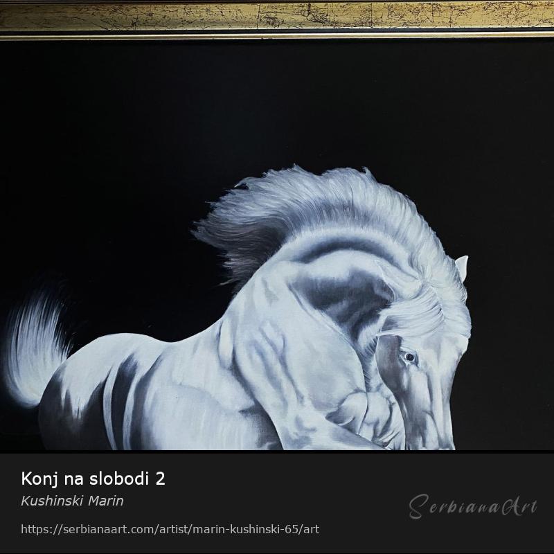 Konj na slobodi 2, Oil/Canvas, Kushinski Marin