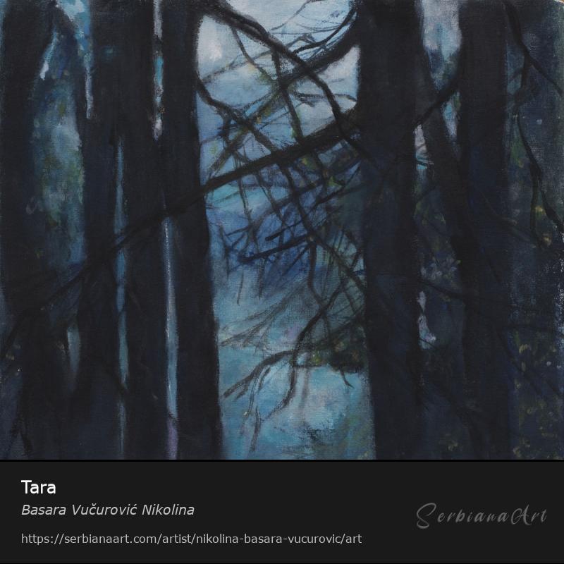 Tara, Oil/Canvas, Basara Vučurović Nikolina
