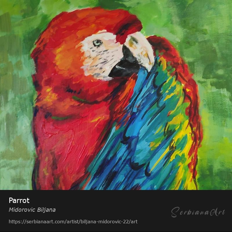 Parrot, Acrylic/Canvas, Midorovic Biljana
