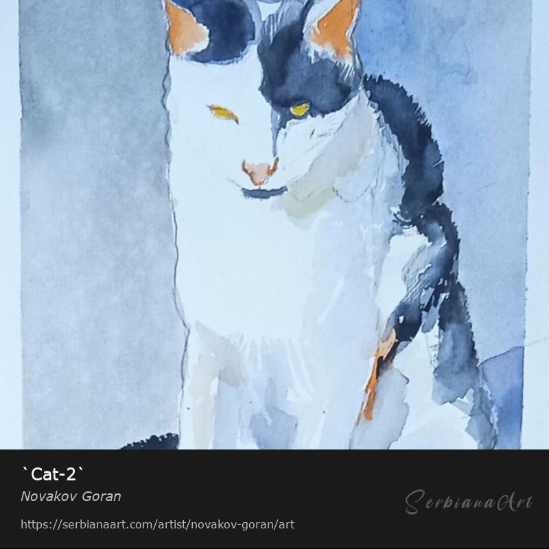 `Cat-2`, Watercolor/Paper, Novakov Goran
