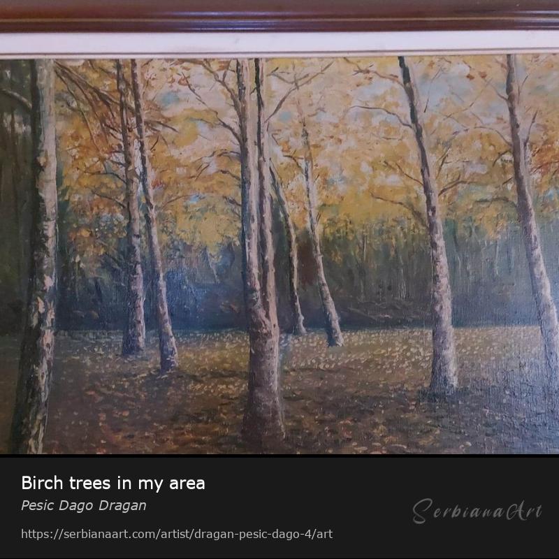 Birch trees in my area, Oil/Canvas, Pesic Dago Dragan