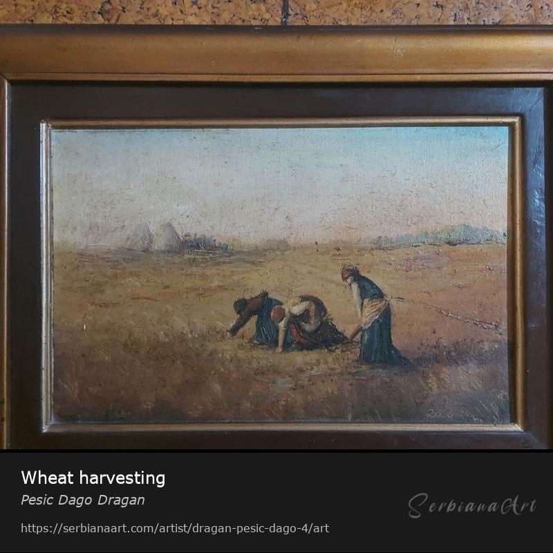 Wheat harvesting, Oil/Canvas, Pesic Dago Dragan