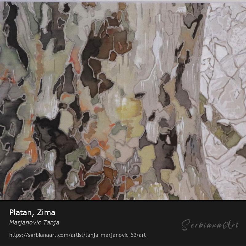 Platan, Zima, Watercolor/Silk, Marjanovic Tanja