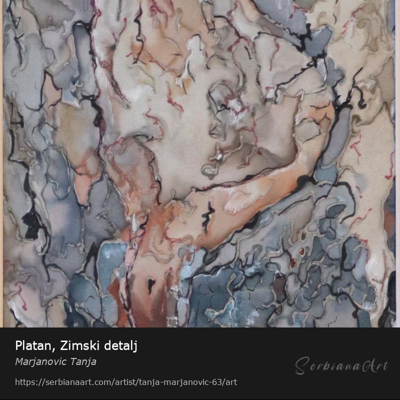 Platan, Zimski detalj, Watercolor/Silk, Marjanovic Tanja