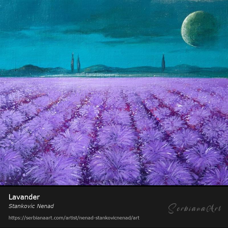 Lavander, Oil/Canvas, Stankovic Nenad