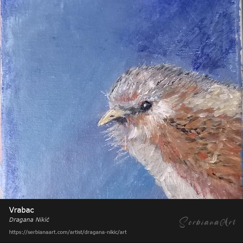 Vrabac, Acrylic/Canvas, Dragana Nikić