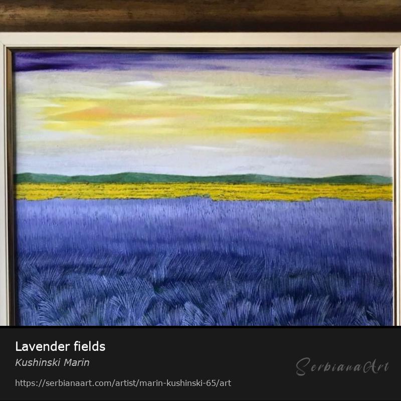 Lavender fields, Oil/Canvas, Kushinski Marin