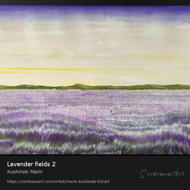Lavender fields 2, Oil/Canvas, Kushinski Marin