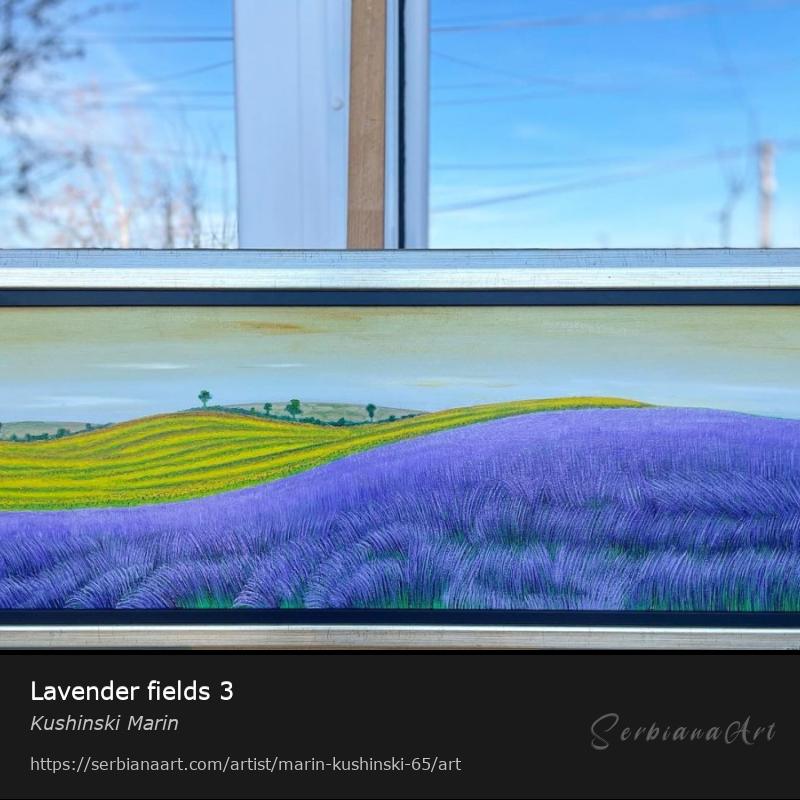 Lavender fields 3, Oil/Canvas, Kushinski Marin