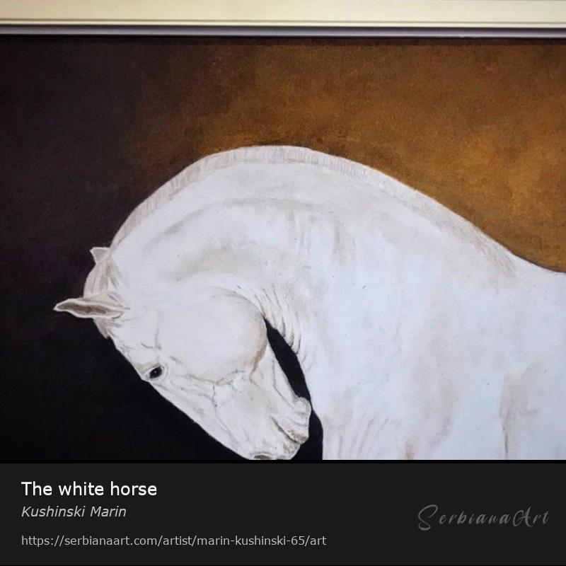 The white horse, Oil/Canvas, Kushinski Marin