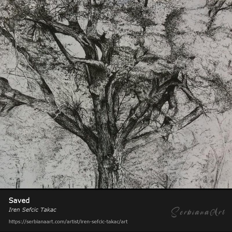 Saved, Ink/Paper, Iren Sefcic Takac