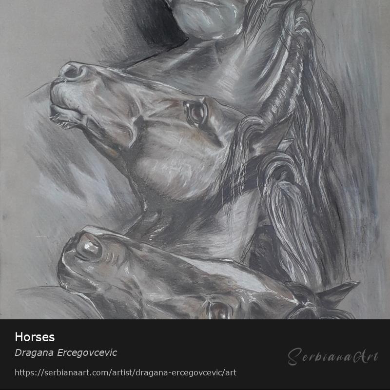 Horses, Pastel/Paper, Dragana Ercegovcevic