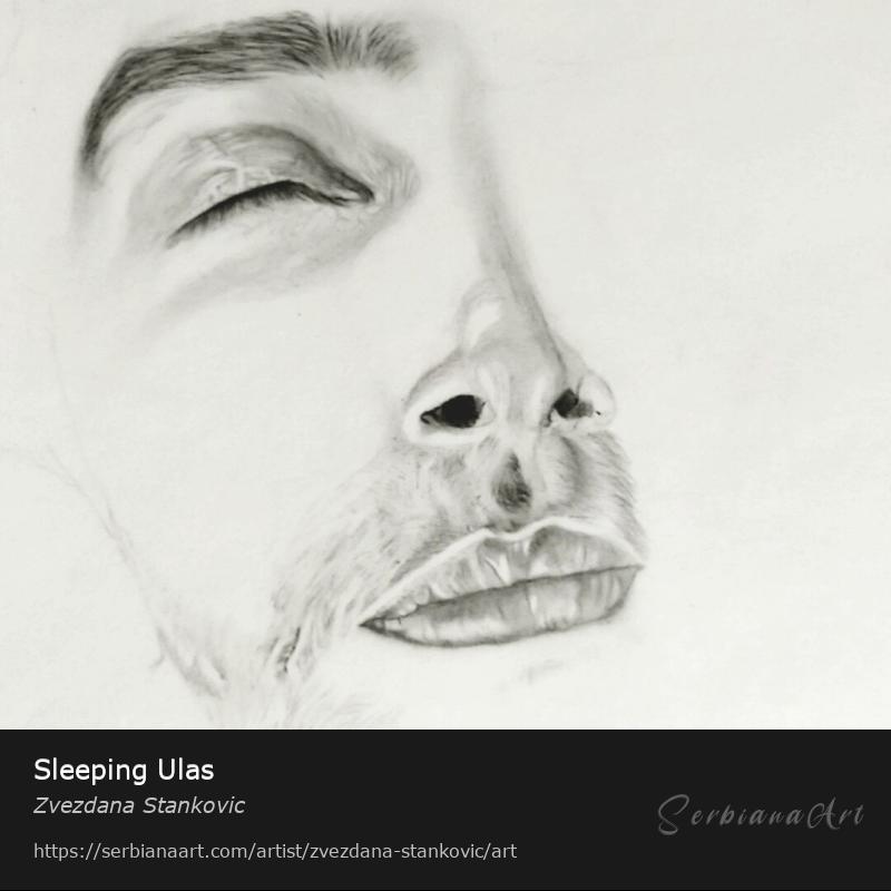 Sleeping Ulas, Pencil/Paper, Zvezdana Stankovic