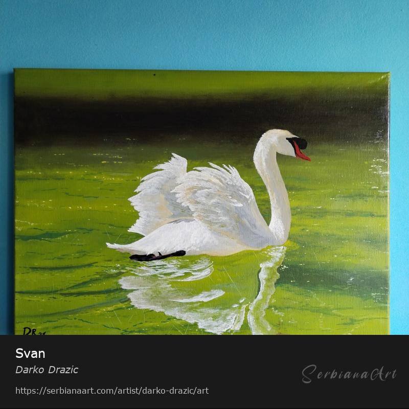 Svan, Oil/Canvas, Darko Drazic