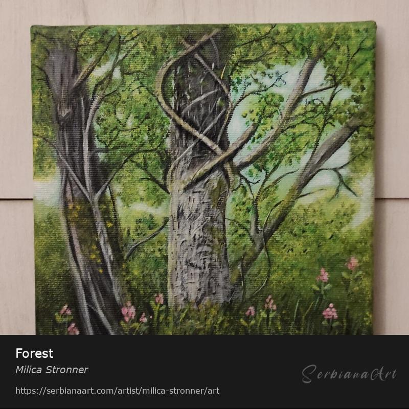 Forest, Acrylic/Canvas, Milica Stronner