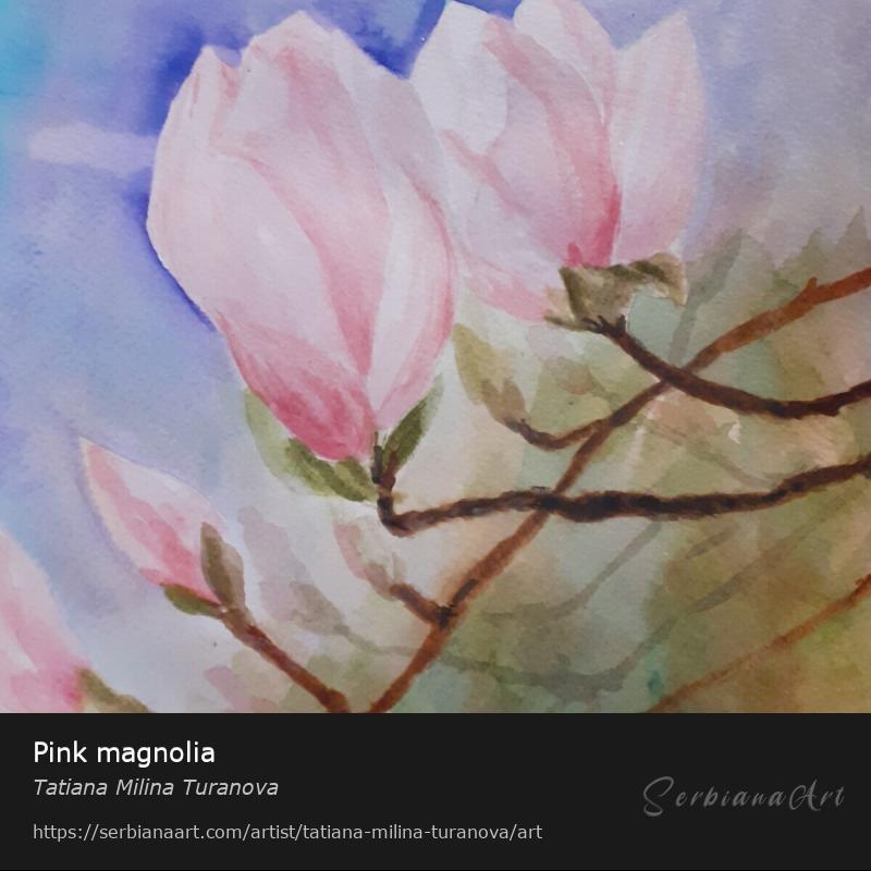 Pink magnolia, Watercolor/Paper, Tatiana Milina Turanova