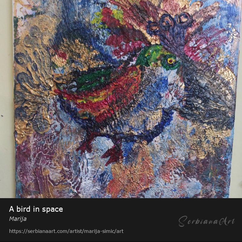 A bird in space, Acrylic/Canvas, Marija